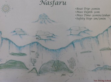 Nasfaru